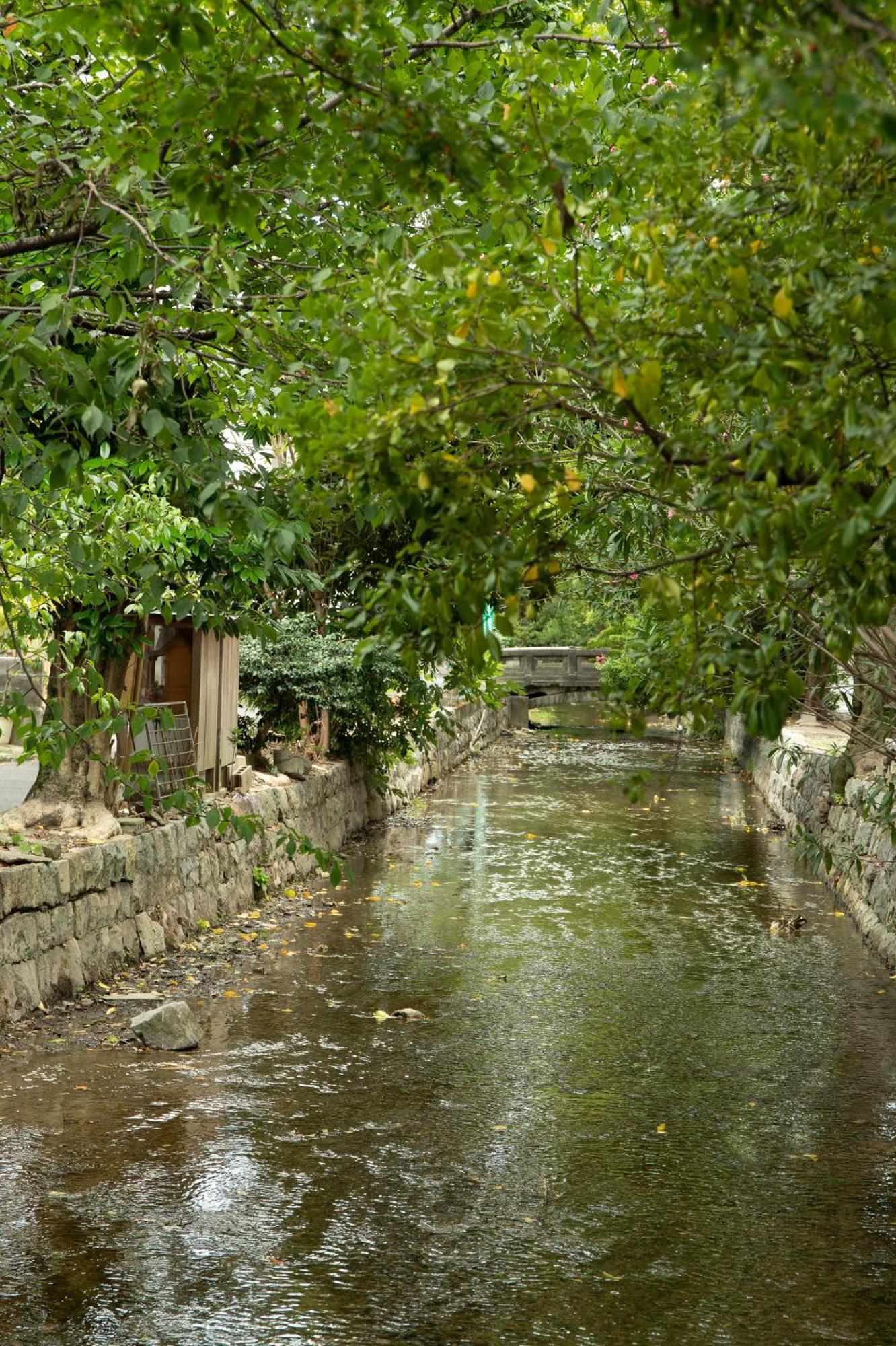 初音 Appartement Kyoto Buitenkant foto